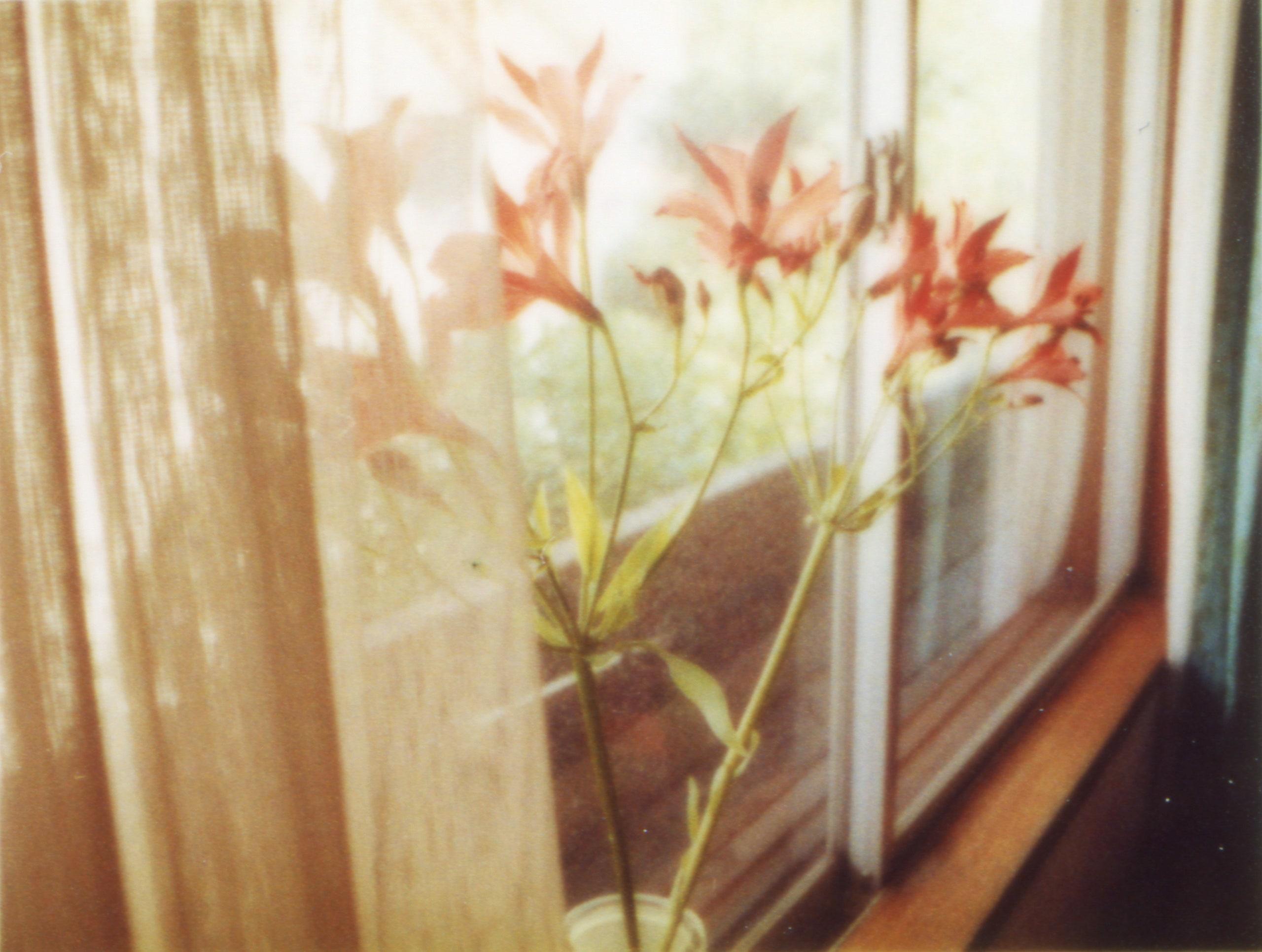 奥山由之 写真集『flowers』