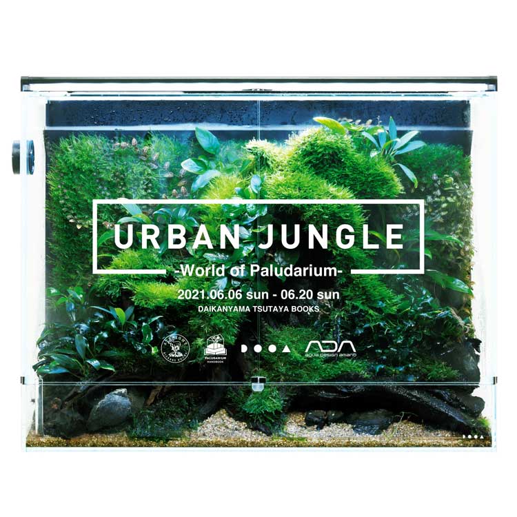 フェア】URBAN JUNGLE -World of Paludarium- | イベント | 代官山T