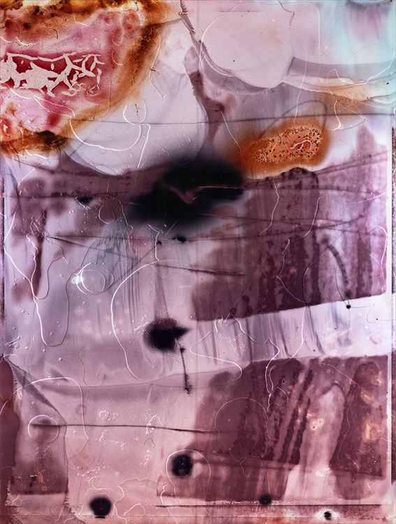 大竹伸朗　サイン本 大竹伸朗×矢野優 対談とサイン会 | イベント | MIMOCA 丸亀市