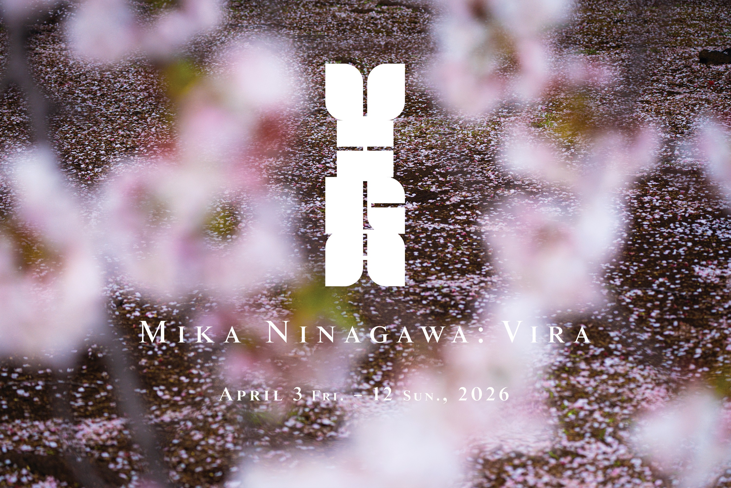 展示】蜷川実花 写真集『VIRA』刊行記念展 | イベント | 代官山T-SITE