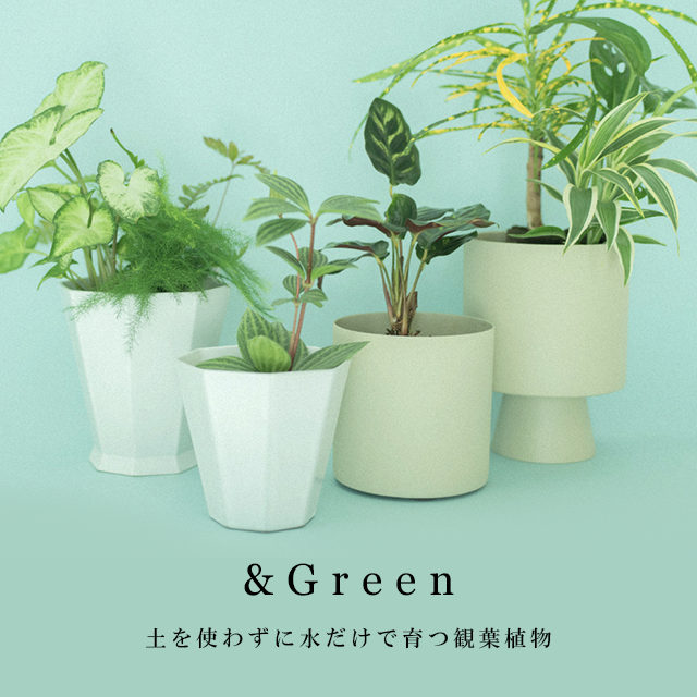 ＆Green