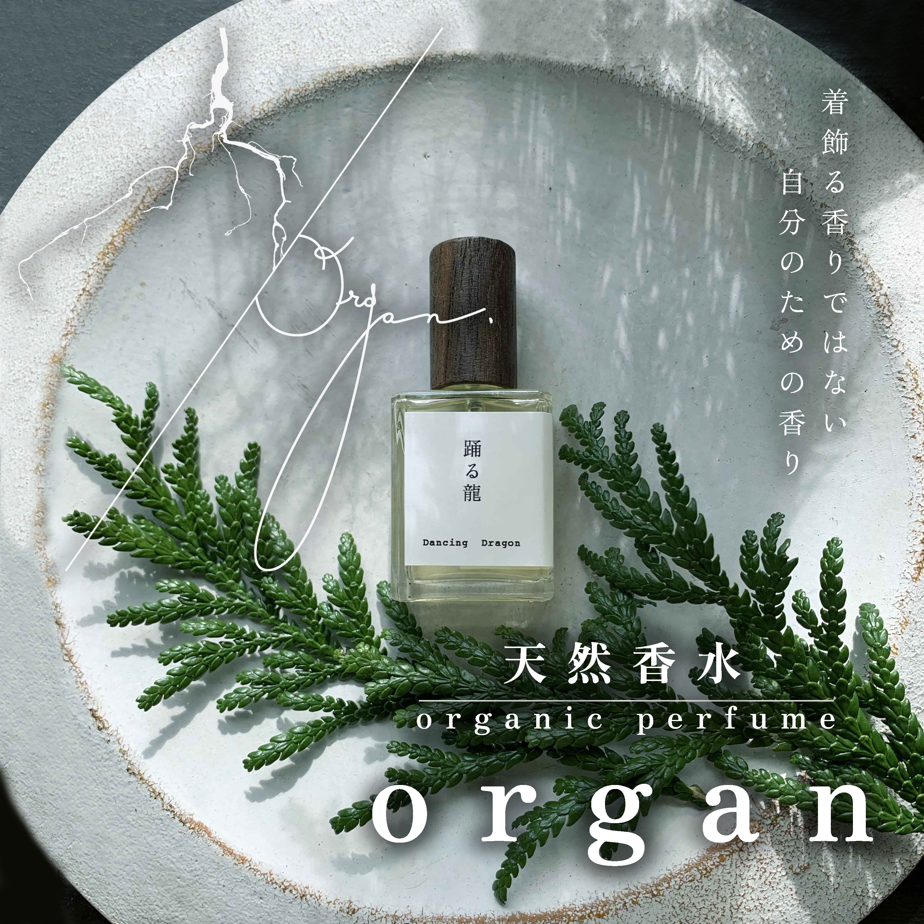 古い香水　16点　まとめ売り　古酒、ジッポもあり organ POPUP STORE | イベント | 福岡天神 蔦屋書店 | 蔦屋書店を中核
