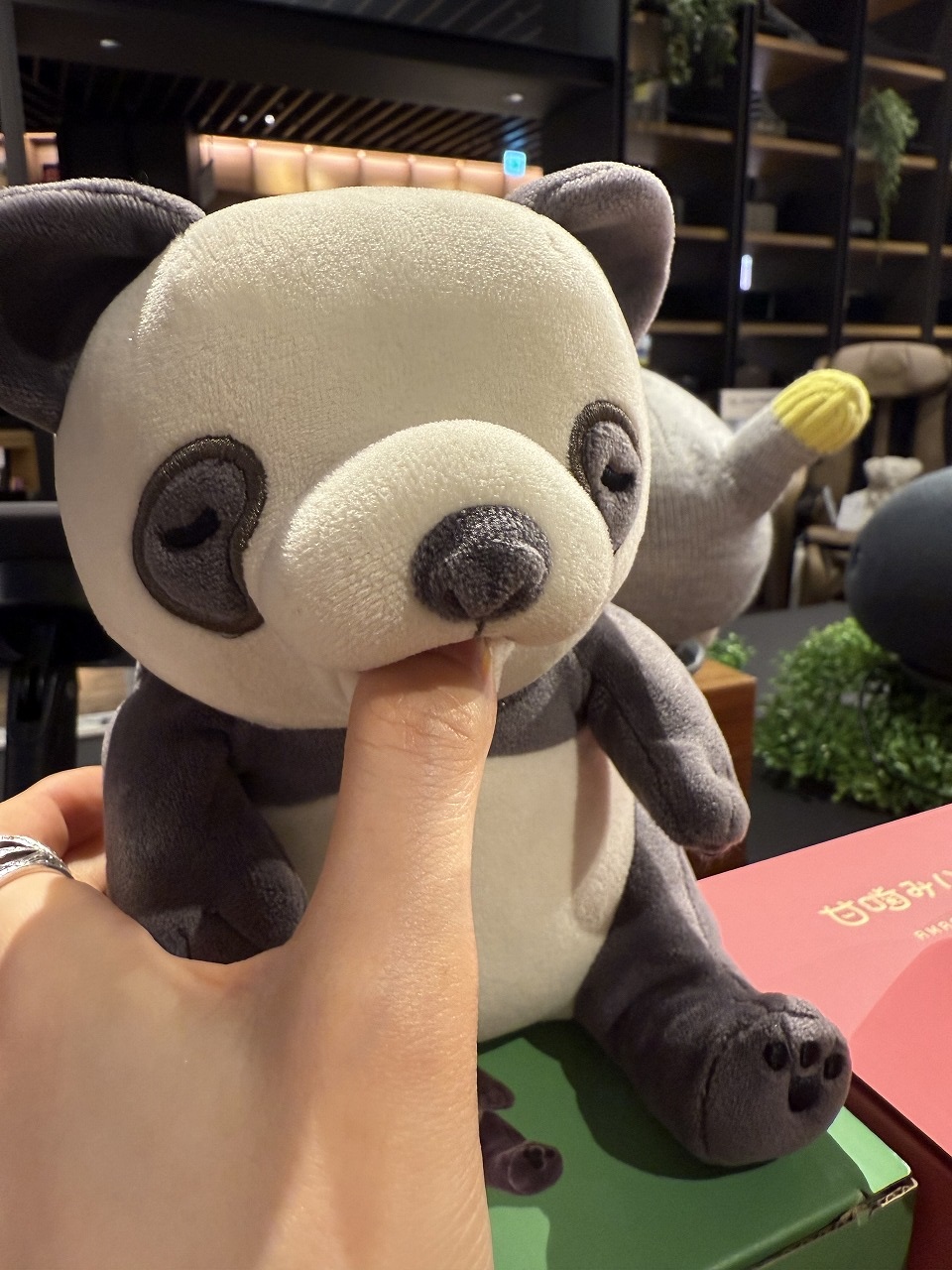 コラム】すゑひろがりずさんが来店！ 2/22(土)放送 TBSテレビ「王様の