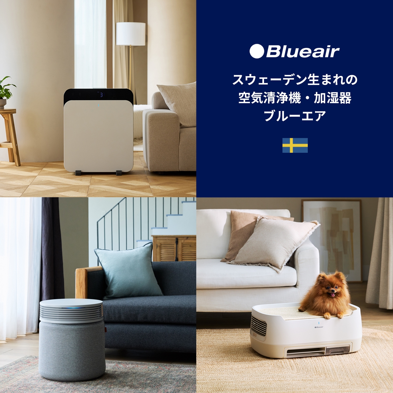 ブルーエア空気清浄機 POP-UP SHOP | イベント | 二子玉川 蔦屋家電