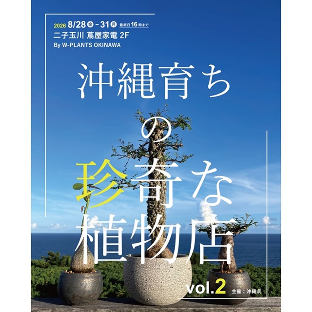 カラー版 沖縄の樹木 庭から公園までの緑化植物集 新興出版社 沖縄育ちの珍奇な植物店 」vol.2 | イベント | 二子玉川 蔦屋家電 | 蔦