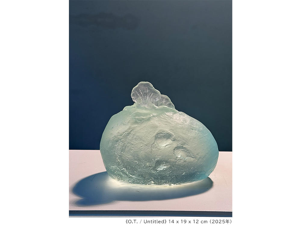 イケムラ レイコ作品集(サイン入り) カタログ詳細（落札結果）｜SBIアートオークション