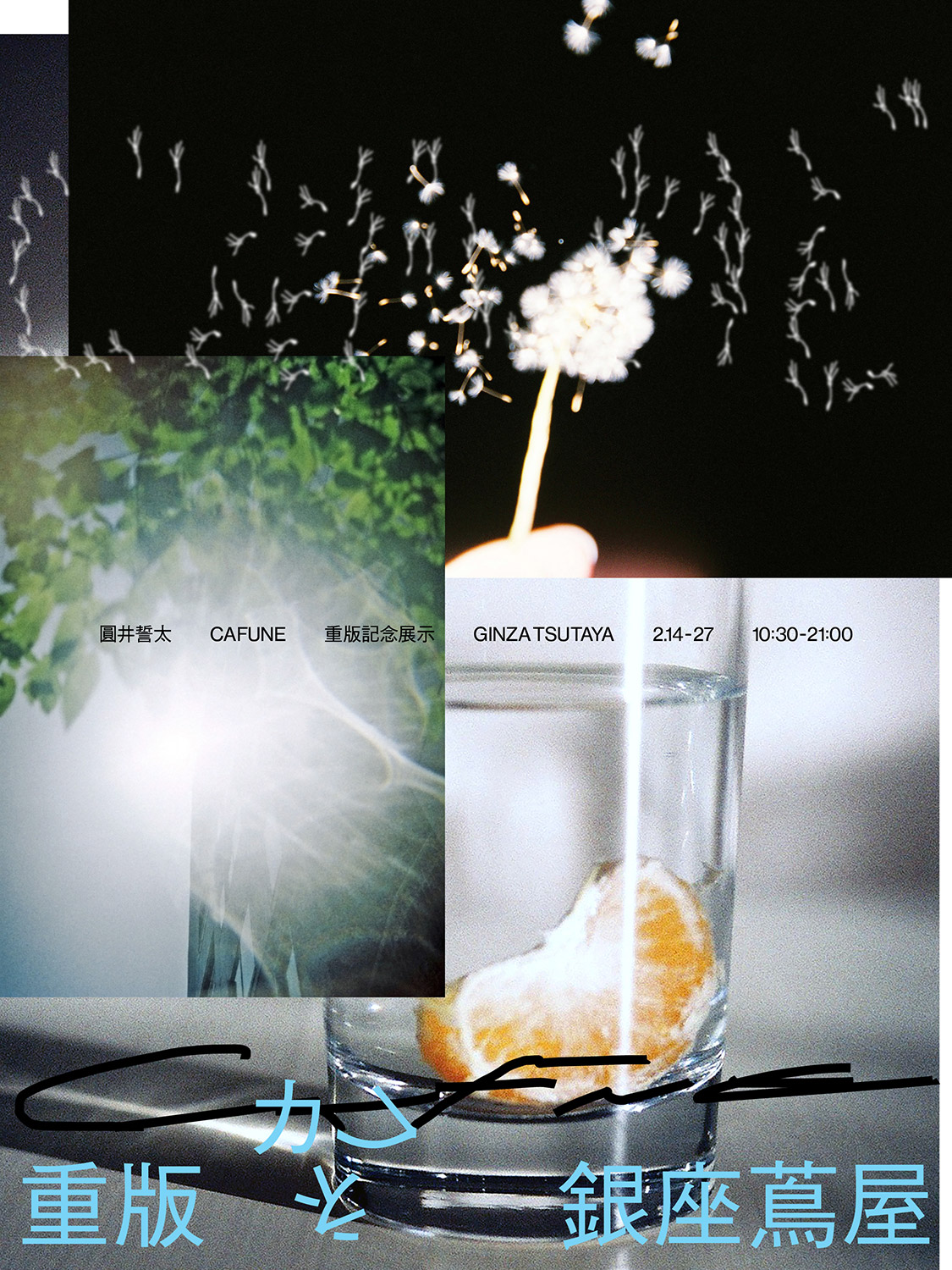 圓井誓太 写真集「CAFUNE」重版記念展 | イベント | 銀座 蔦屋書店