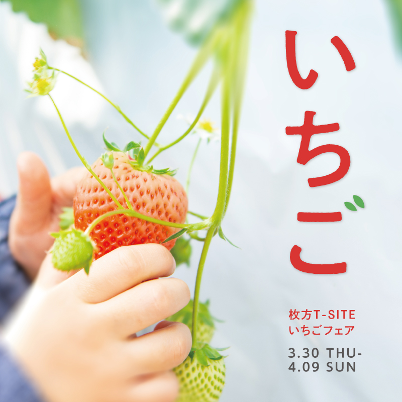 イベント】いちごフェア≪2023年3月30日(木)～4月9日(日)≫ | イベント