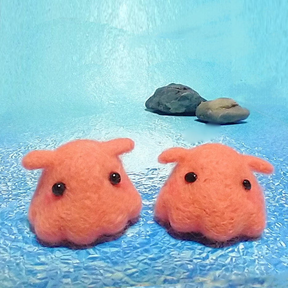 羊毛フェルト 仮予約の方専用ページ 羊毛フェルト 仮予約の方専用ページ