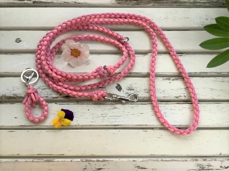 ドッグワークショップ 愛犬のために作る４つ編みのパラコードリード イベント 1f ドッグ コミュニティ サロン 年07月16日 木 柏の葉 T Site 蔦屋書店を中核とした生活提案型商業施設