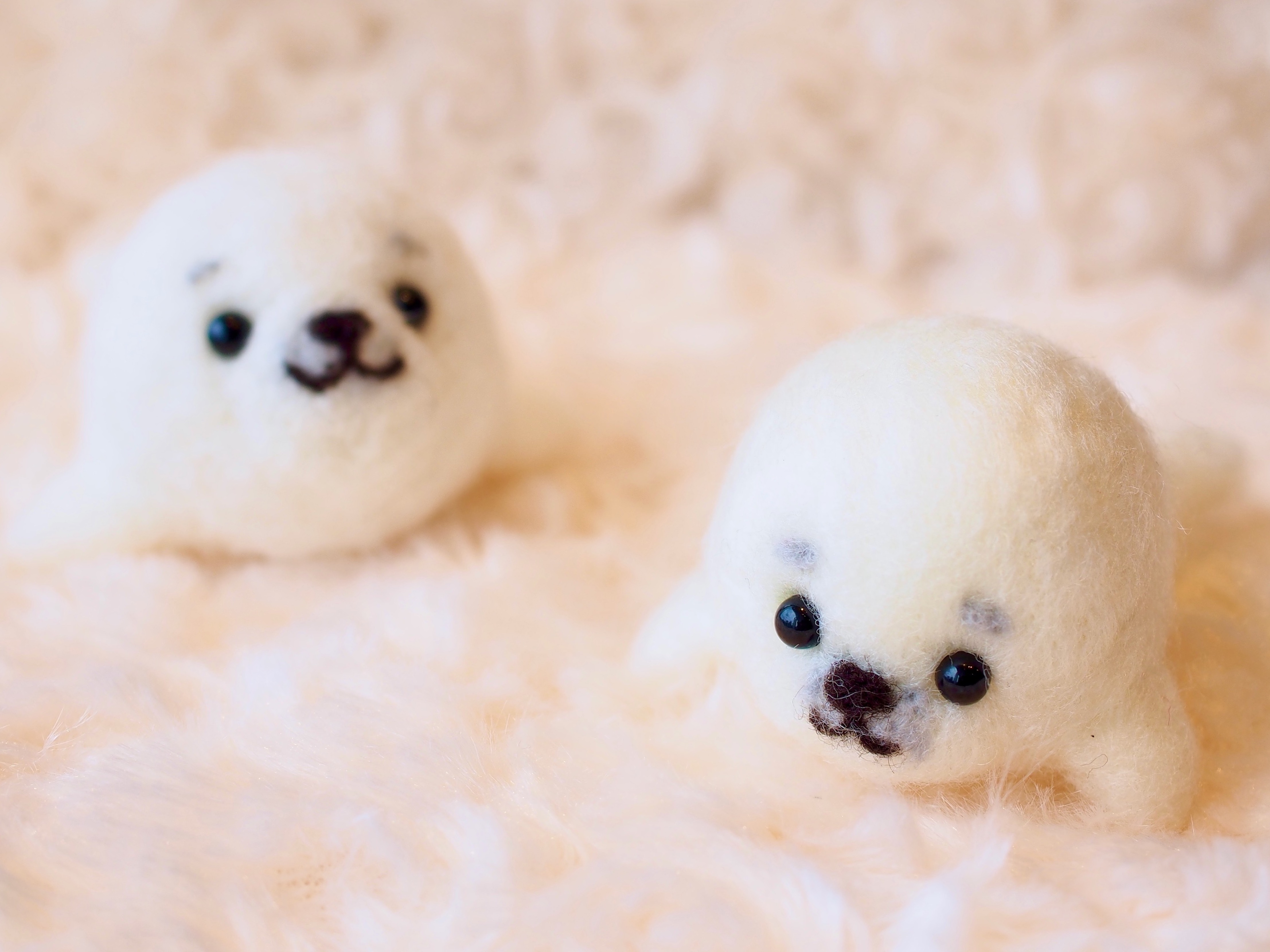 mikke!】羊毛フェルトで作る海の生き物 | イベント | 2F ラウンジ 