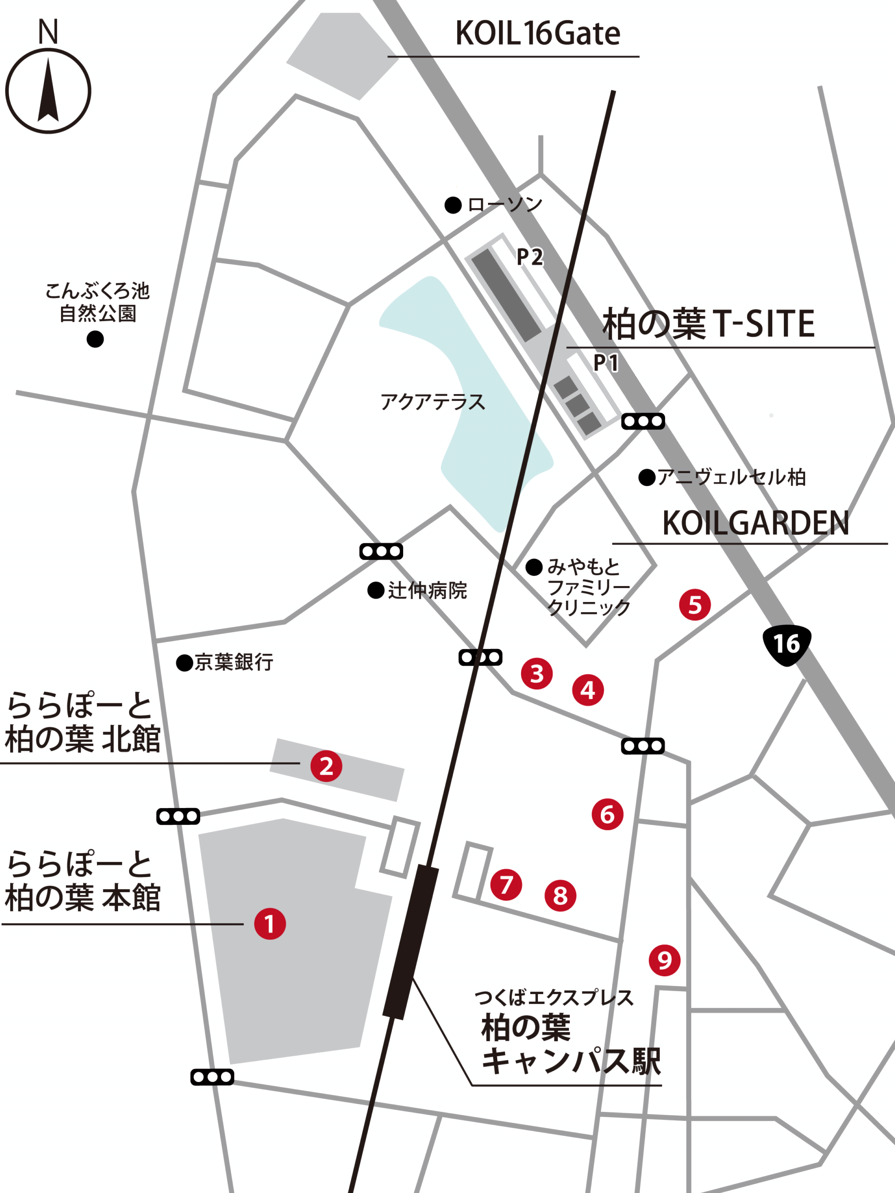 公の場での発言・インタビュー報道記録
