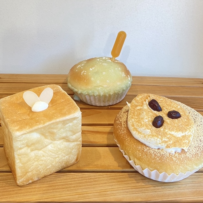 第13回 柏の葉 パン祭り お店紹介 | イベント | 2025年02月15日(土 