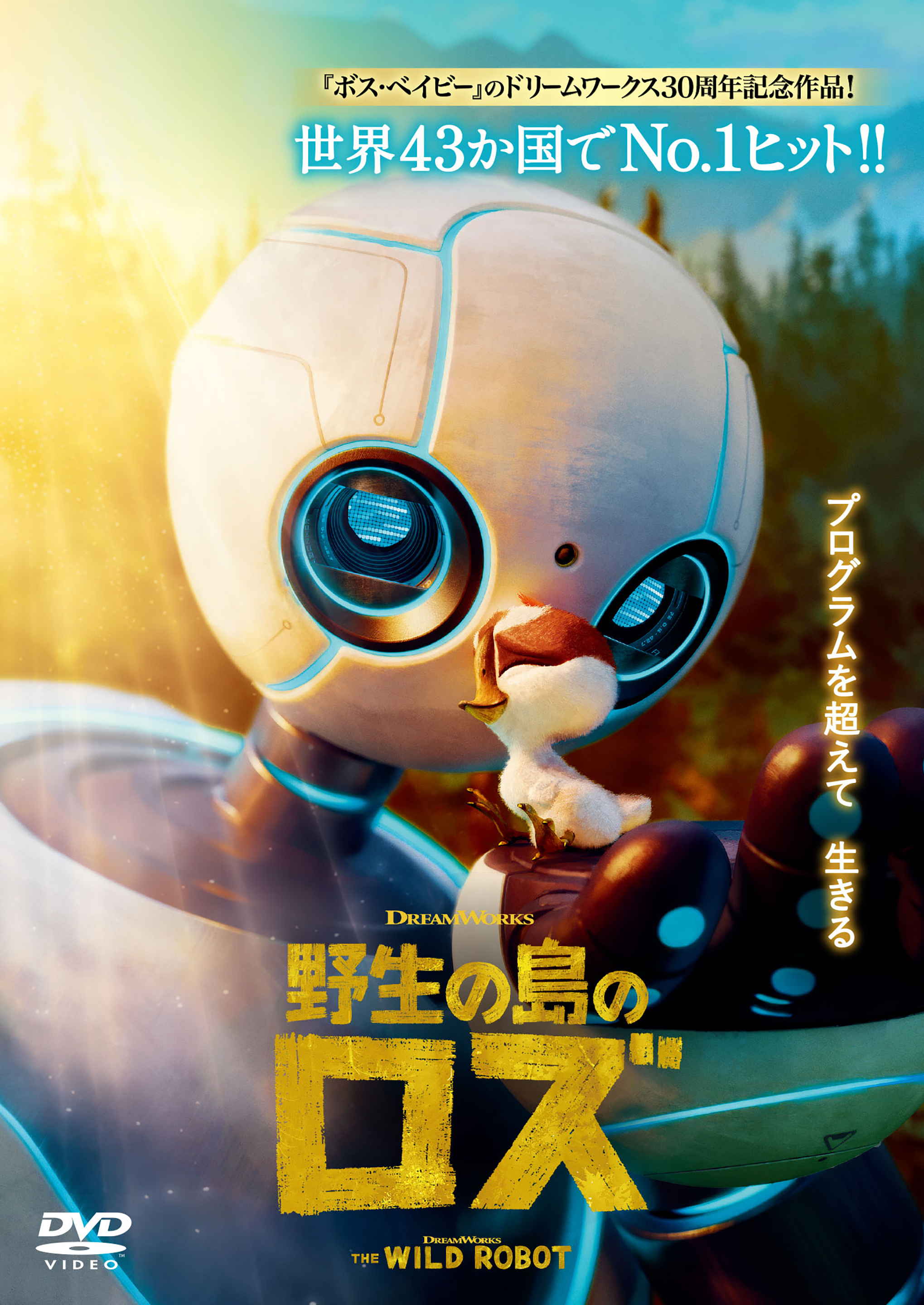 野外シネマのイメージ