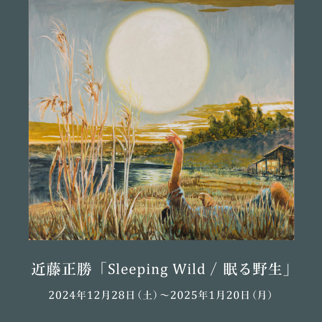 近藤正勝,こうんどうまさたか,masatakakondo,SleepingWild,眠る野生,アート