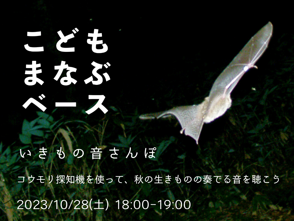 【ワークショップ】こどもまなぶベースVOL19「コウモリ探知機を使いながら、秋の生きものの奏でる音を聴くワークショップ」 イベント