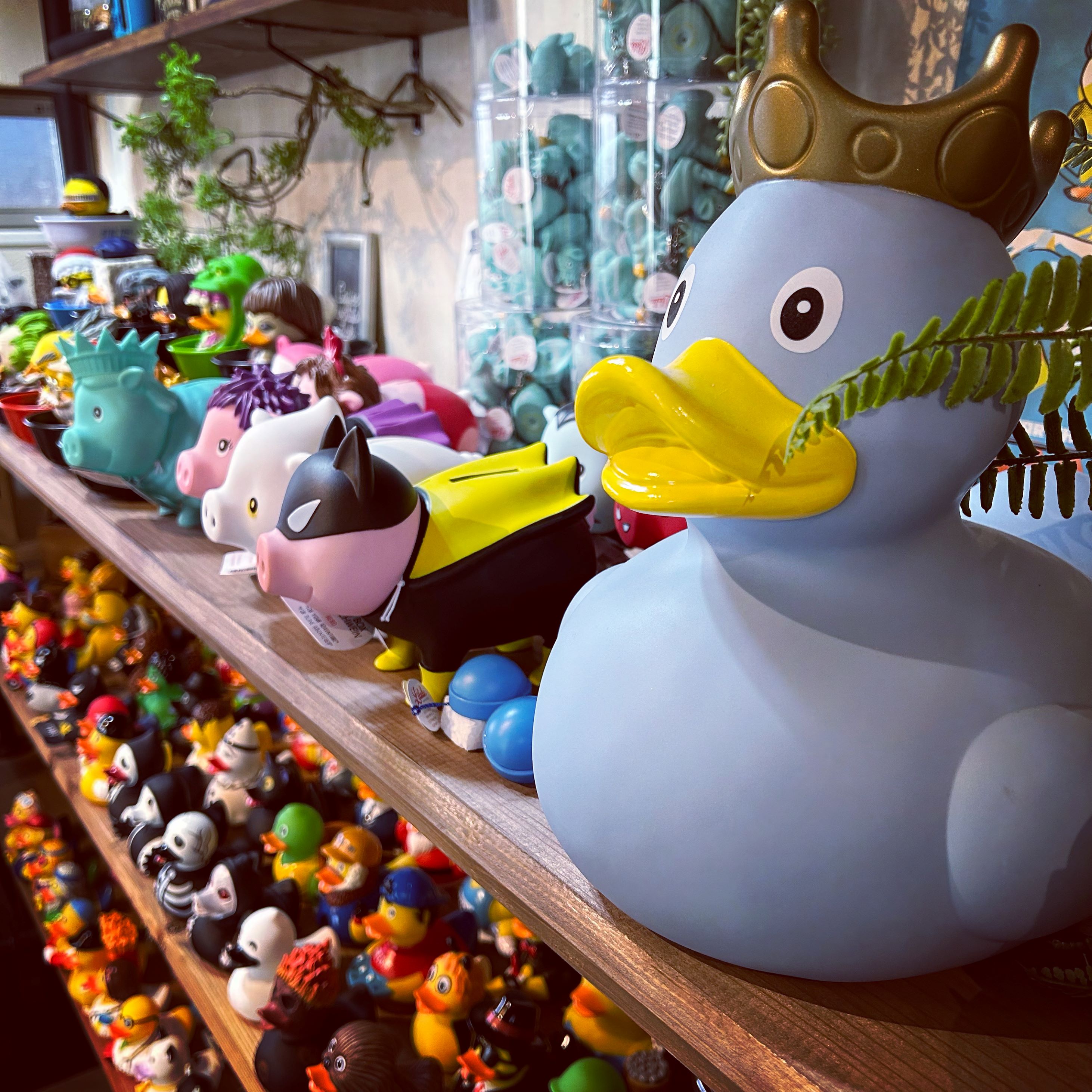 フェア】mizuba POP UP SHOP | イベント | 奈良 蔦屋書店 | 蔦屋書店を