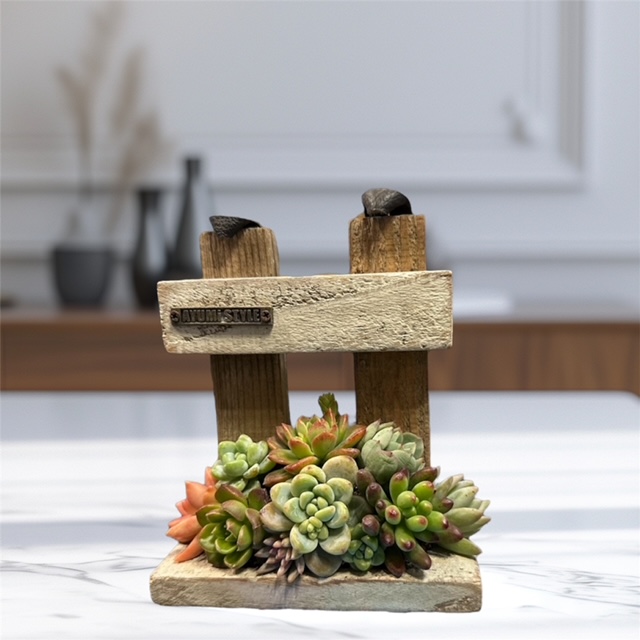 多肉植物の寄せ植え　TA-YO6 ワークショップ】多肉植物寄せ植えワークショップ | イベント | 奈良