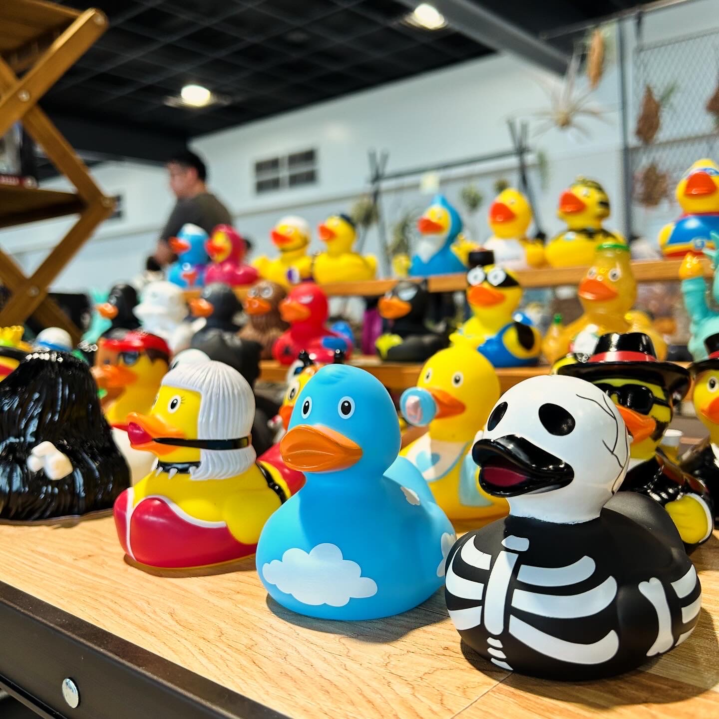 フェア】Ducks POP UP SHOP | イベント | 奈良 蔦屋書店 | 蔦屋書店を