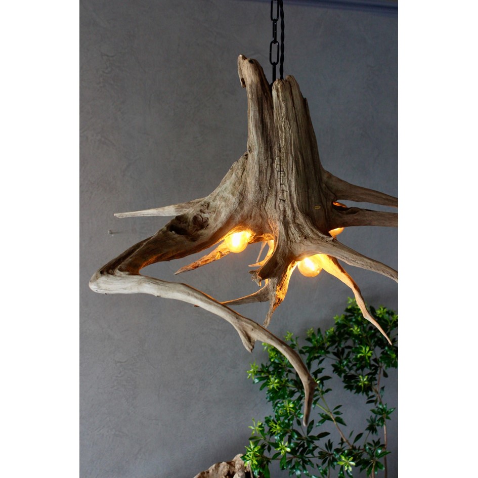 POP-UP】WOOD'ARBRE | イベント | 六本松 蔦屋書店 | 蔦屋書店を中核と