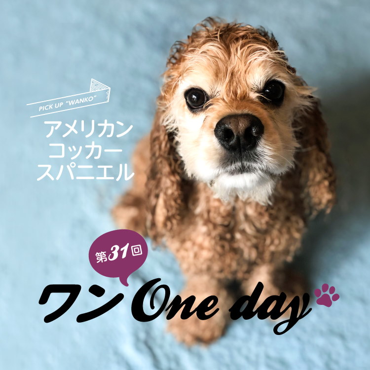 211107_ワンOneday_中用バナーs.jpg
