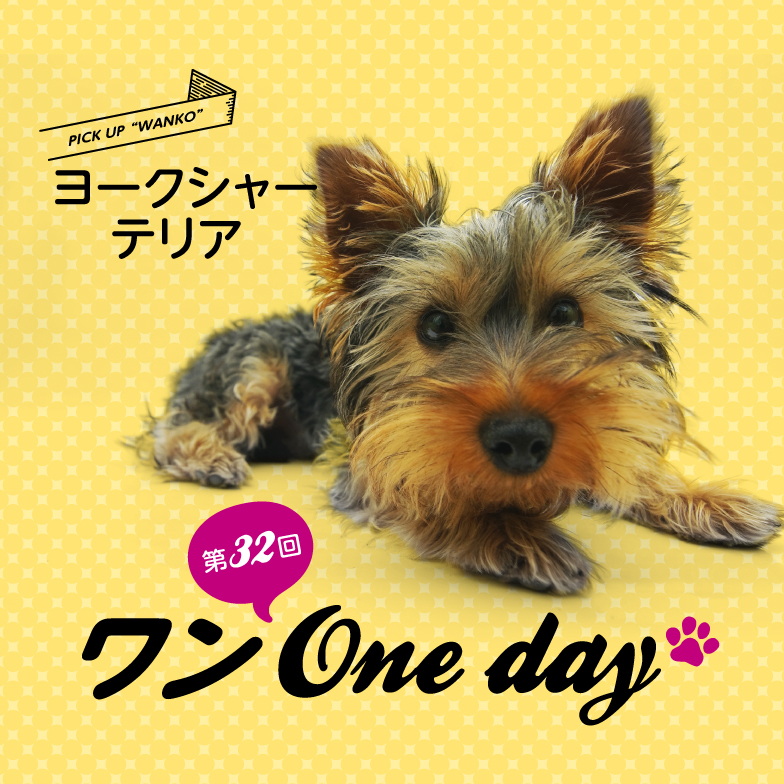 第32回 ワン One day！ | イベント | 湘南T-SITE | 蔦屋書店を中核とした生活提案型商業施設