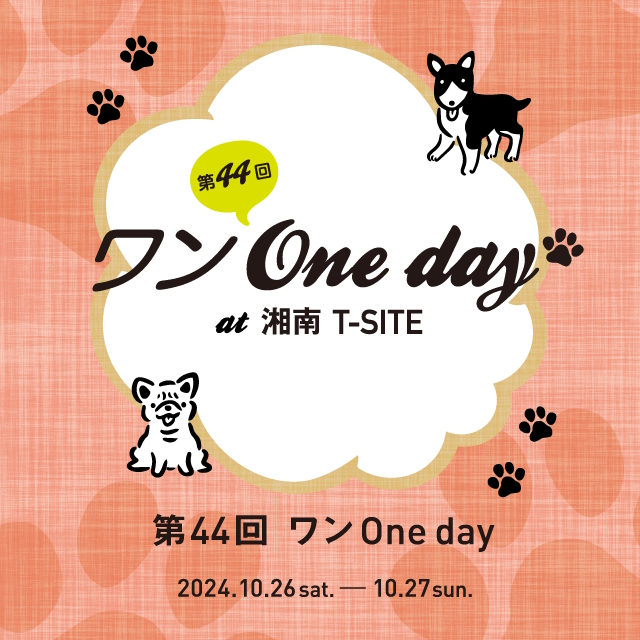 第44回 ワン One day！