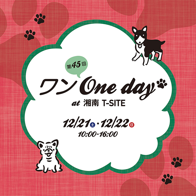 ワン One day！