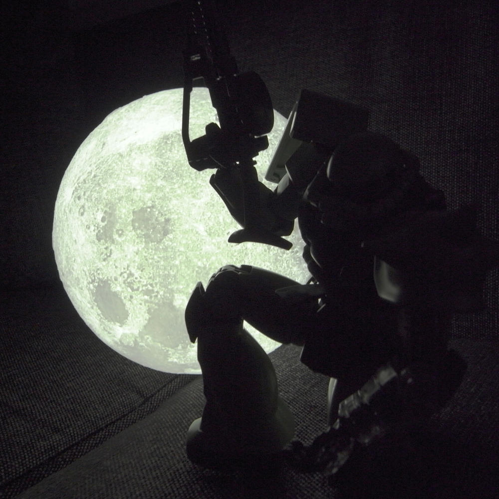 【3Dプリンターで月を精密に再現】ワイヤレス3Dムーンライト（20cm）
