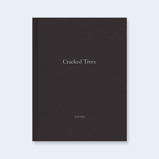 【限定500部／オリジナルプリント（サイン＆ED入り）付】One Picture Book #59: Cracked Trees  by Todd Hido (トッド・ハイド) 
