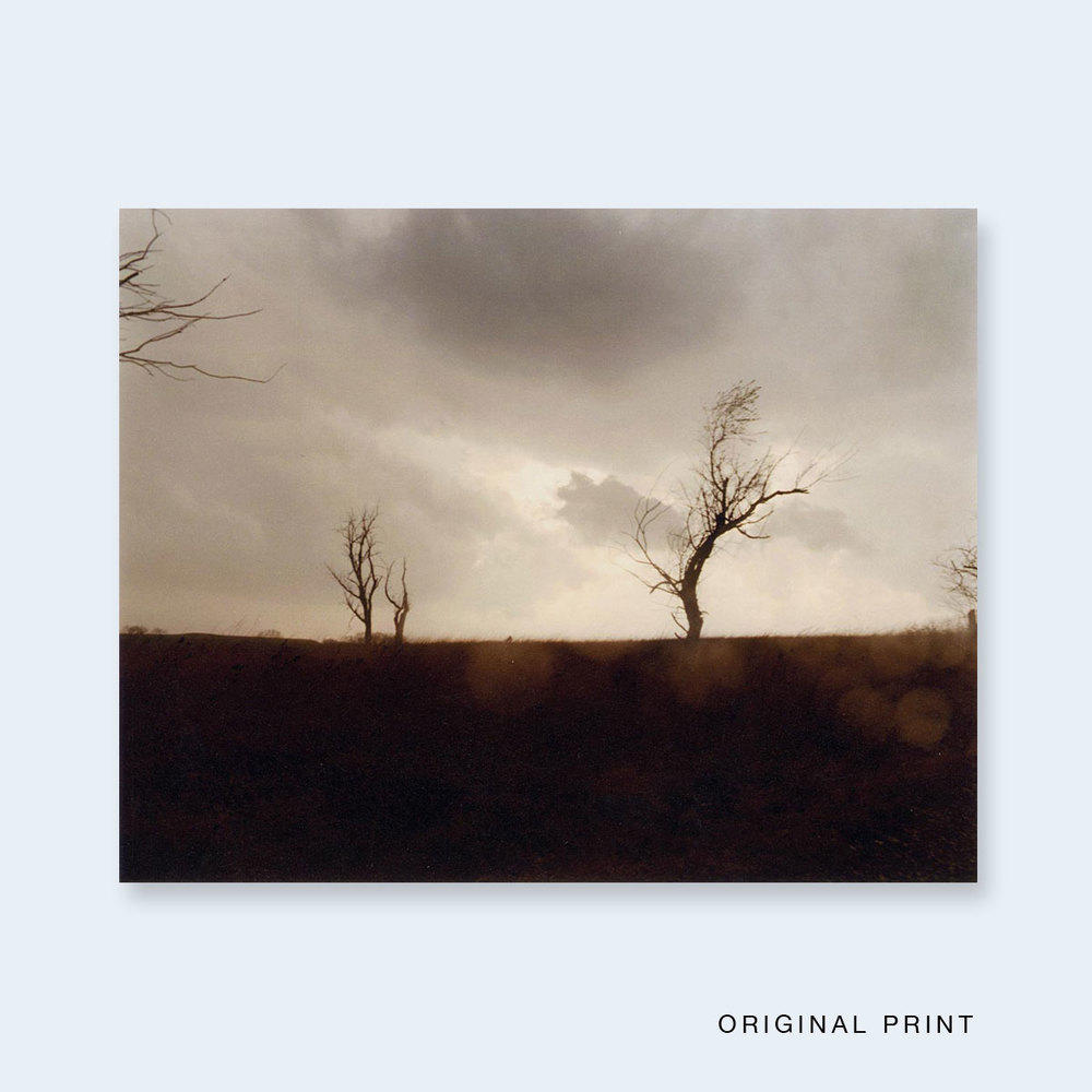 【限定500部／オリジナルプリント（サイン＆ED入り）付】One Picture Book #59: Cracked Trees  by Todd Hido (トッド・ハイド) 