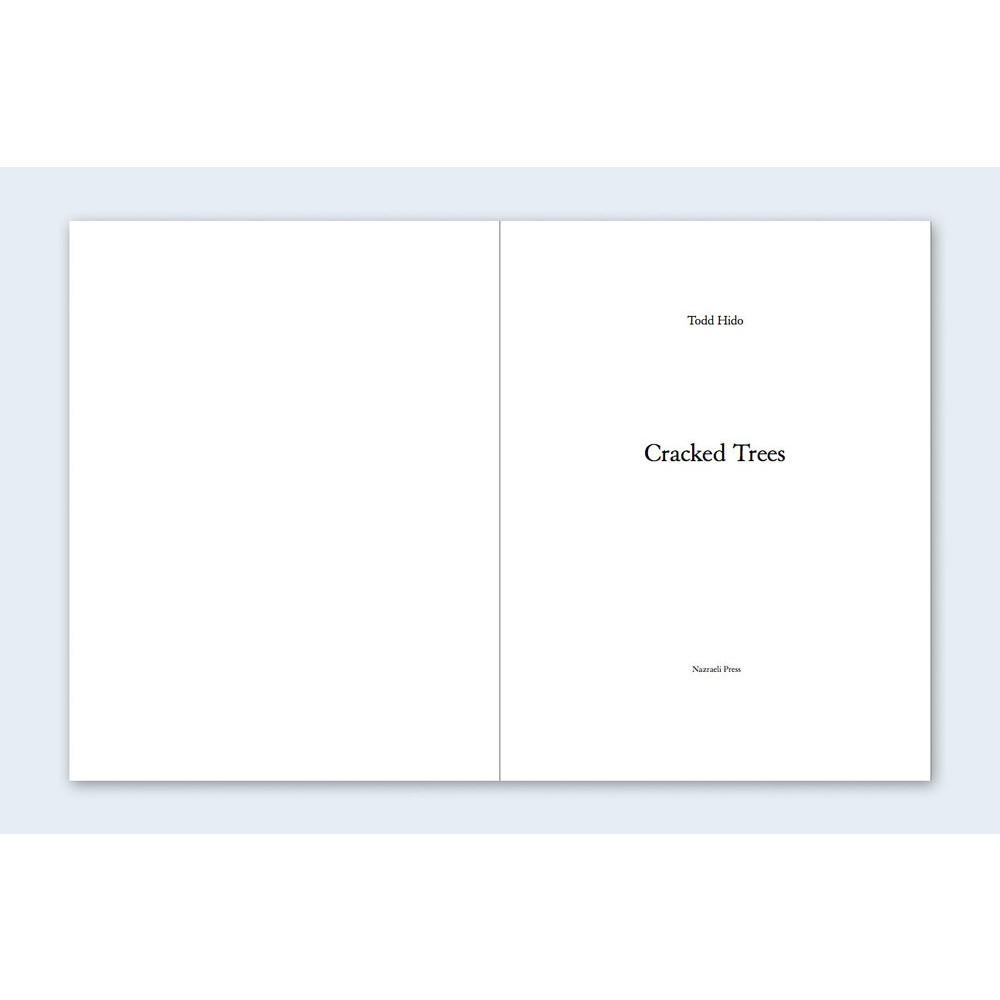 【限定500部／オリジナルプリント（サイン＆ED入り）付】One Picture Book #59: Cracked Trees  by Todd Hido (トッド・ハイド) 