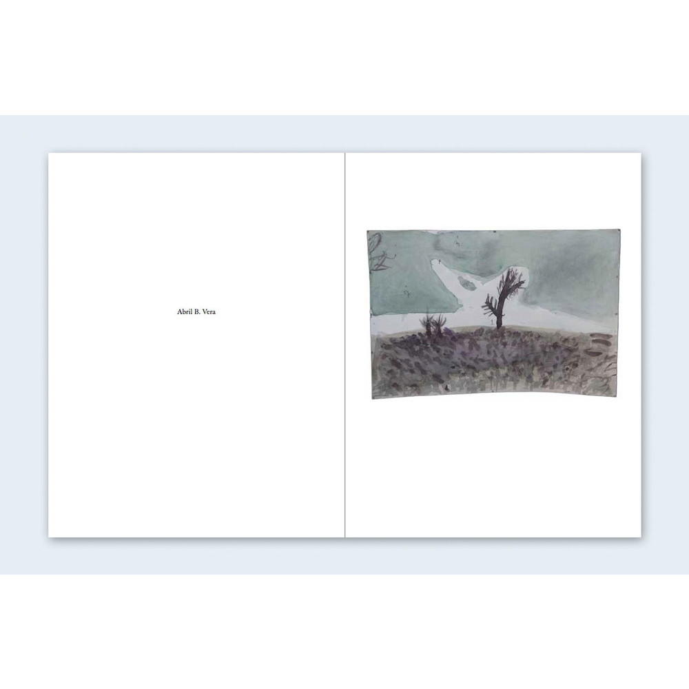 【限定500部／オリジナルプリント（サイン＆ED入り）付】One Picture Book #59: Cracked Trees  by Todd Hido (トッド・ハイド) 