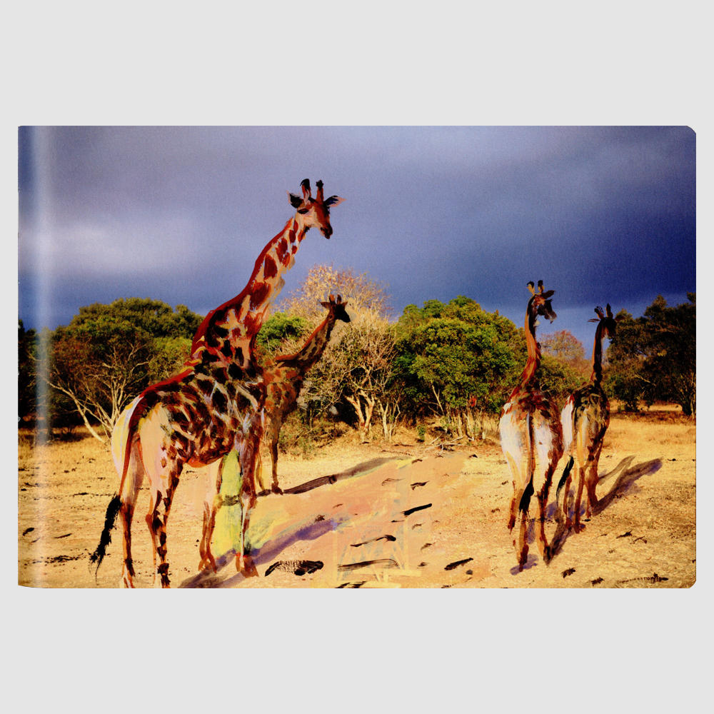 Louis Vuitton Travel Book series South Africa　ルイ・ヴィトンによる、イラストレーターが世界の各都市を描いたトラベルブック　南アフリカ リュウ･シャオドン