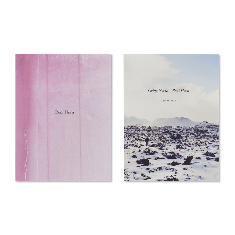 希少】Roni Horn ロニ・ホーン 作品集【美品】 アート・デザイン・音楽