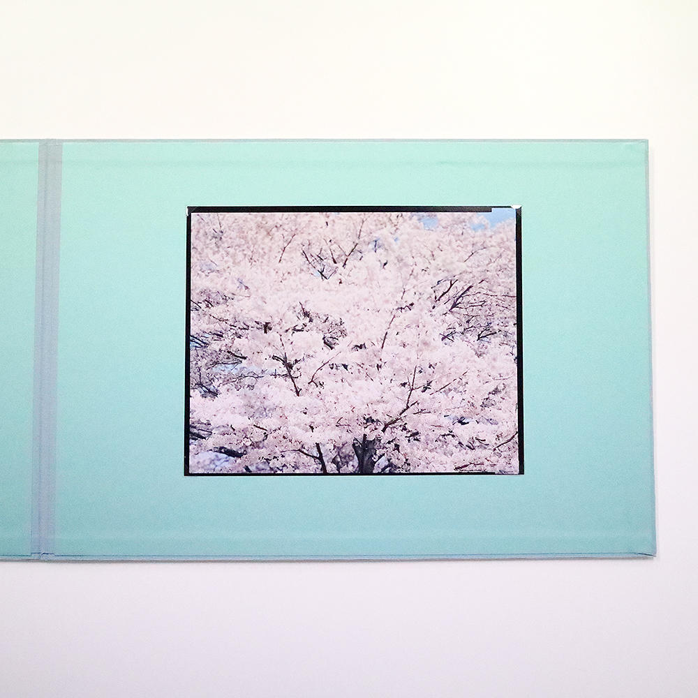 【サイン入りオリジナルプリント付き】海と山の間 Special Edition／鈴木理策