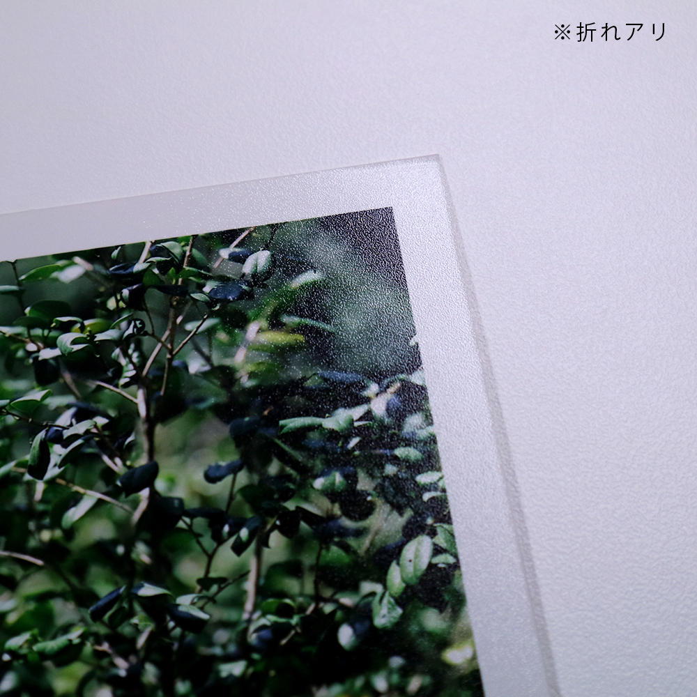 古書】haptic green/緑の触覚 Special Edition 【50部限定 オリジナルプリント付（額装済）】 大島成己  出版社：KEHRER VERLAGの商品詳細 | 蔦屋書店オンラインストア