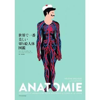 ANATOMIE -世界で一番美しい切り絵人体図鑑-
