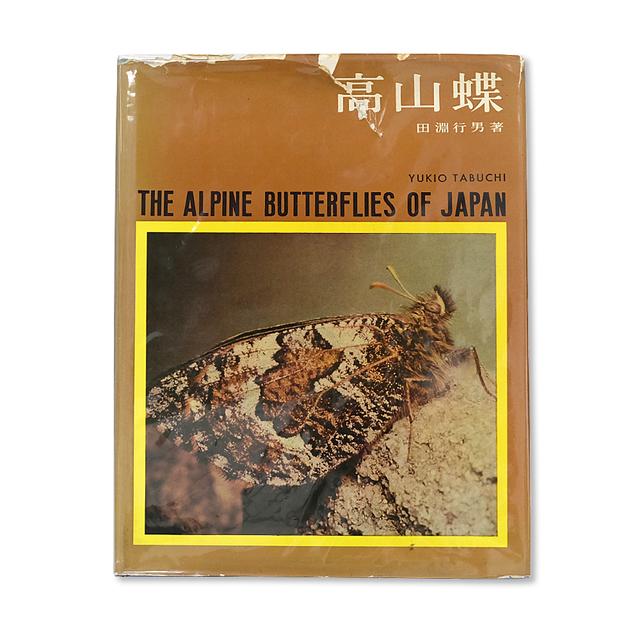 【古書】高山蝶　田淵行男代表作
