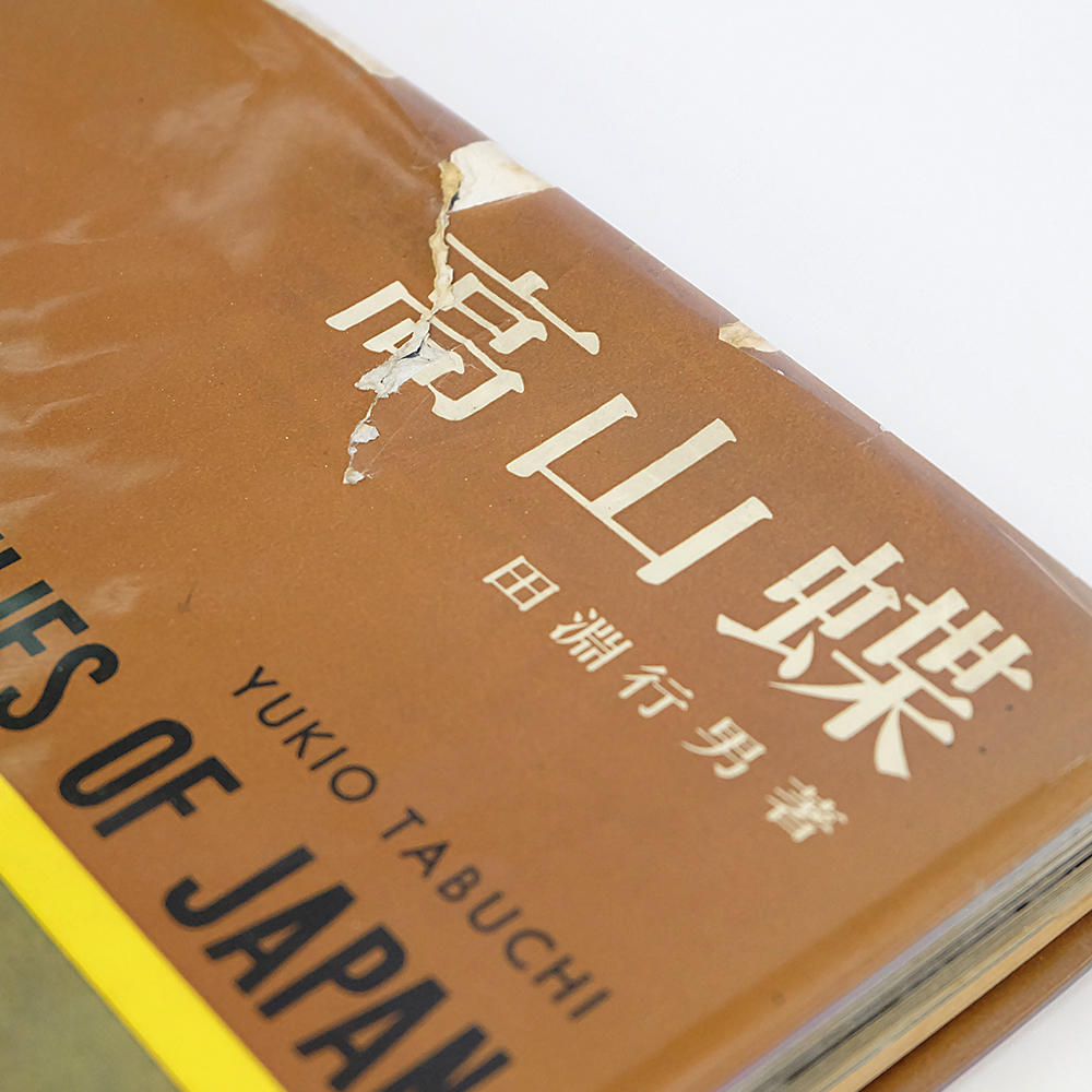 【古書】高山蝶　田淵行男代表作