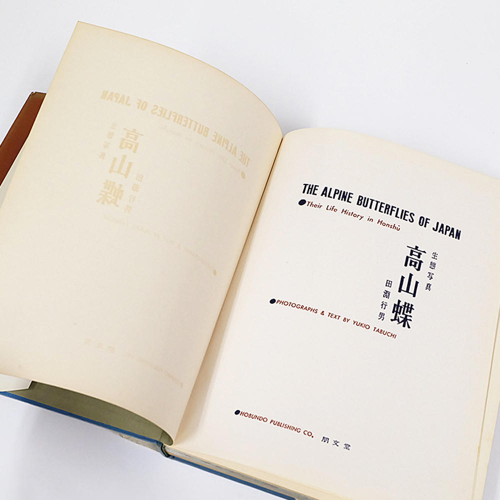 【古書】高山蝶　田淵行男代表作