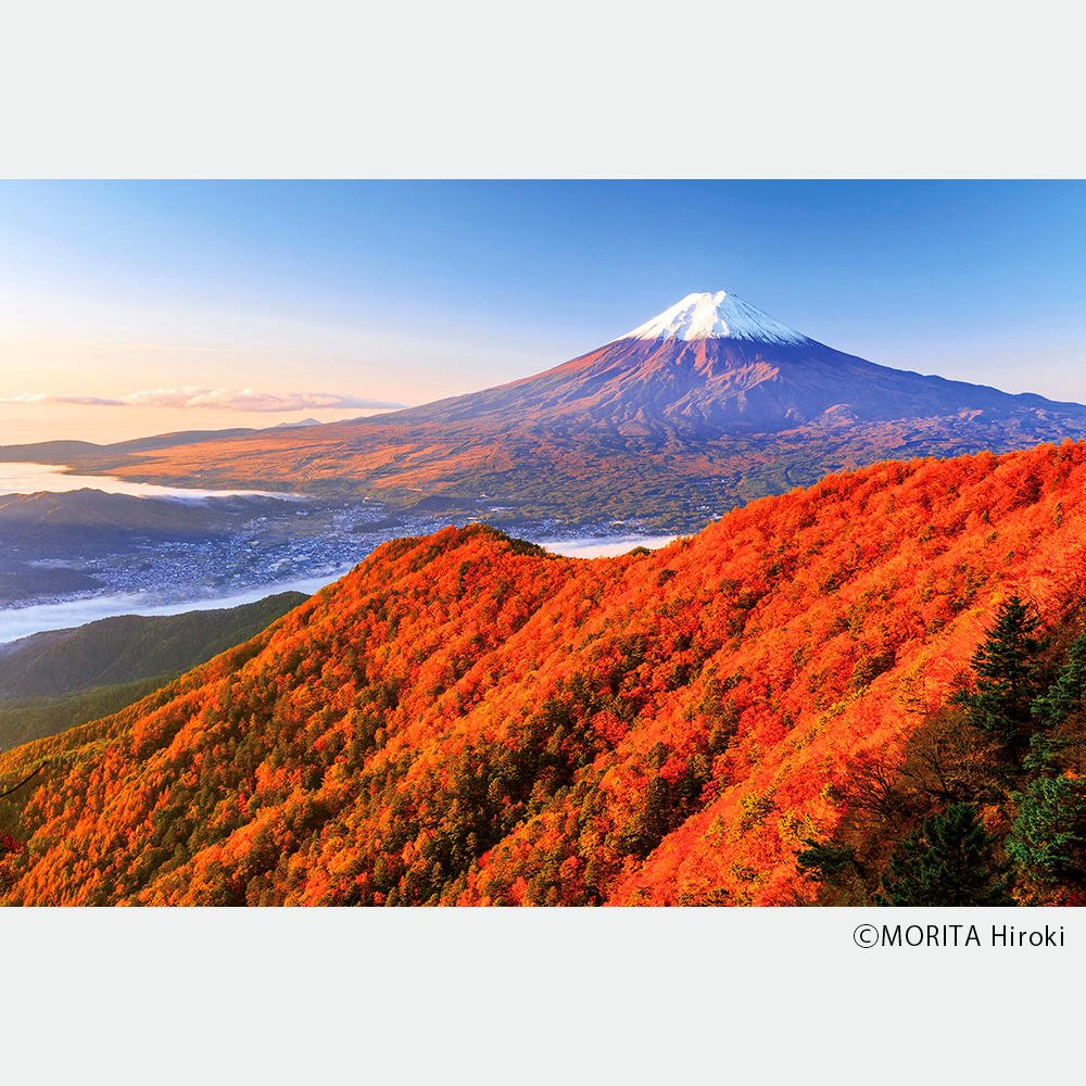 【取り寄せ】BIG BOOK 富士山