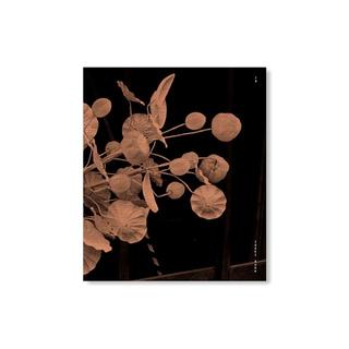 【各15部限定】プリント付特装版／78 by Issei Suda　須田一政　作品集