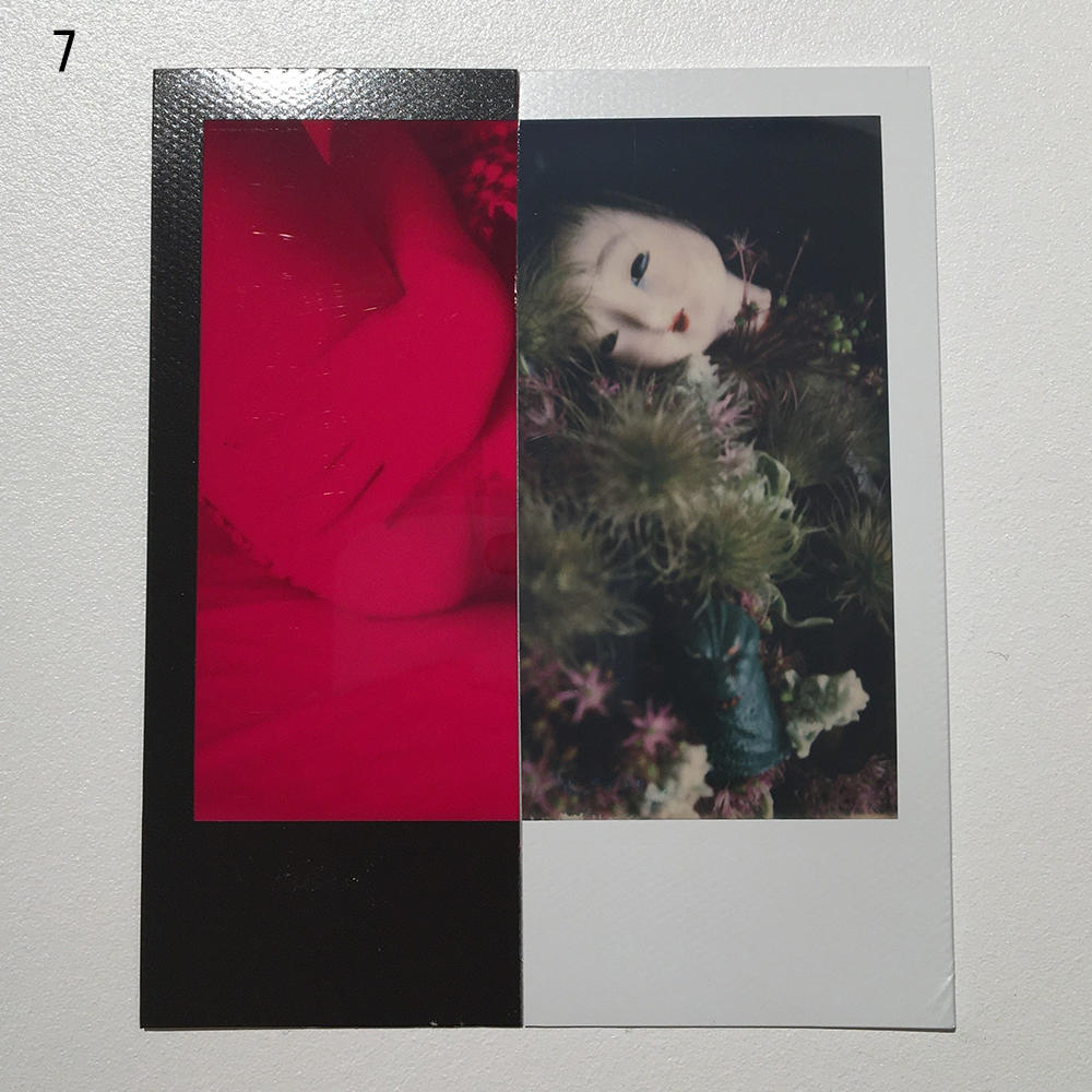 Federicorad　 荒木経惟　直筆サイン入ポラロイド Federicorad様専用 荒木経惟 直筆サイン入ポラロイド - メルカリ