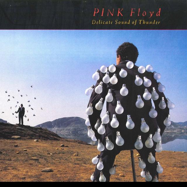 【LP】PINK FLOYD/DELICATE SOUND OF THUNDER