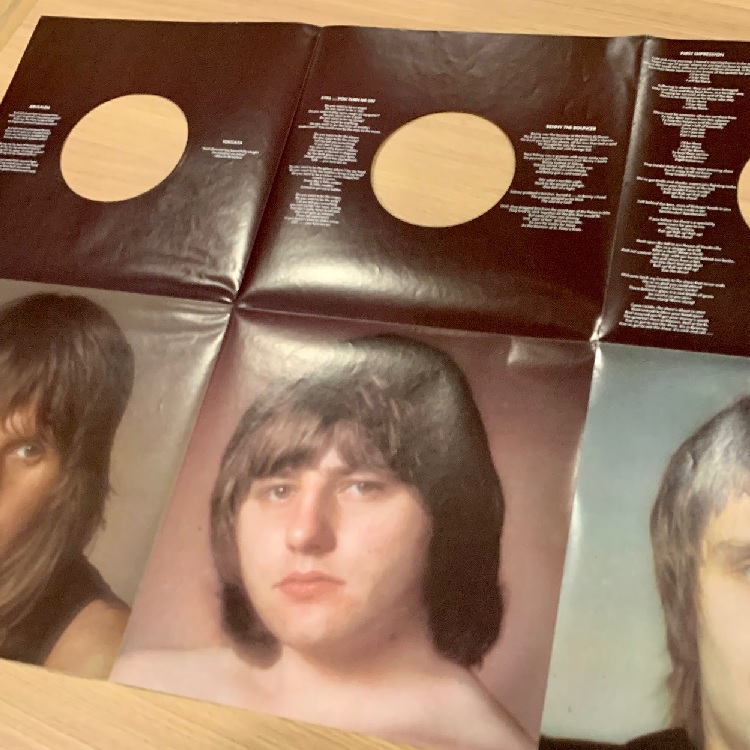 【LP】EMERSON, LAKE & PALMER/BRAIN SALAD SURGERY