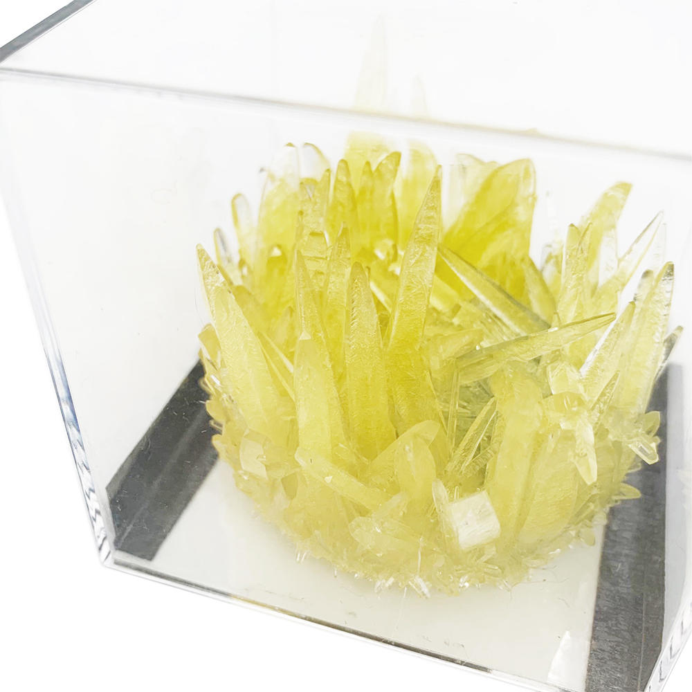 檸檬水晶育成キット の商品詳細 蔦屋書店オンラインストア