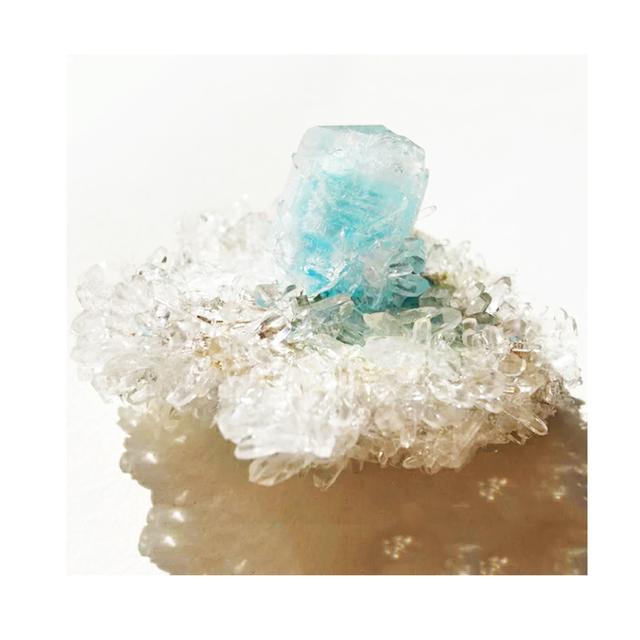 湖水晶育成キット の商品詳細 蔦屋書店オンラインストア