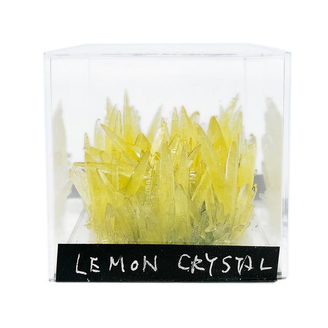 檸檬水晶育成キット の商品詳細 蔦屋書店オンラインストア