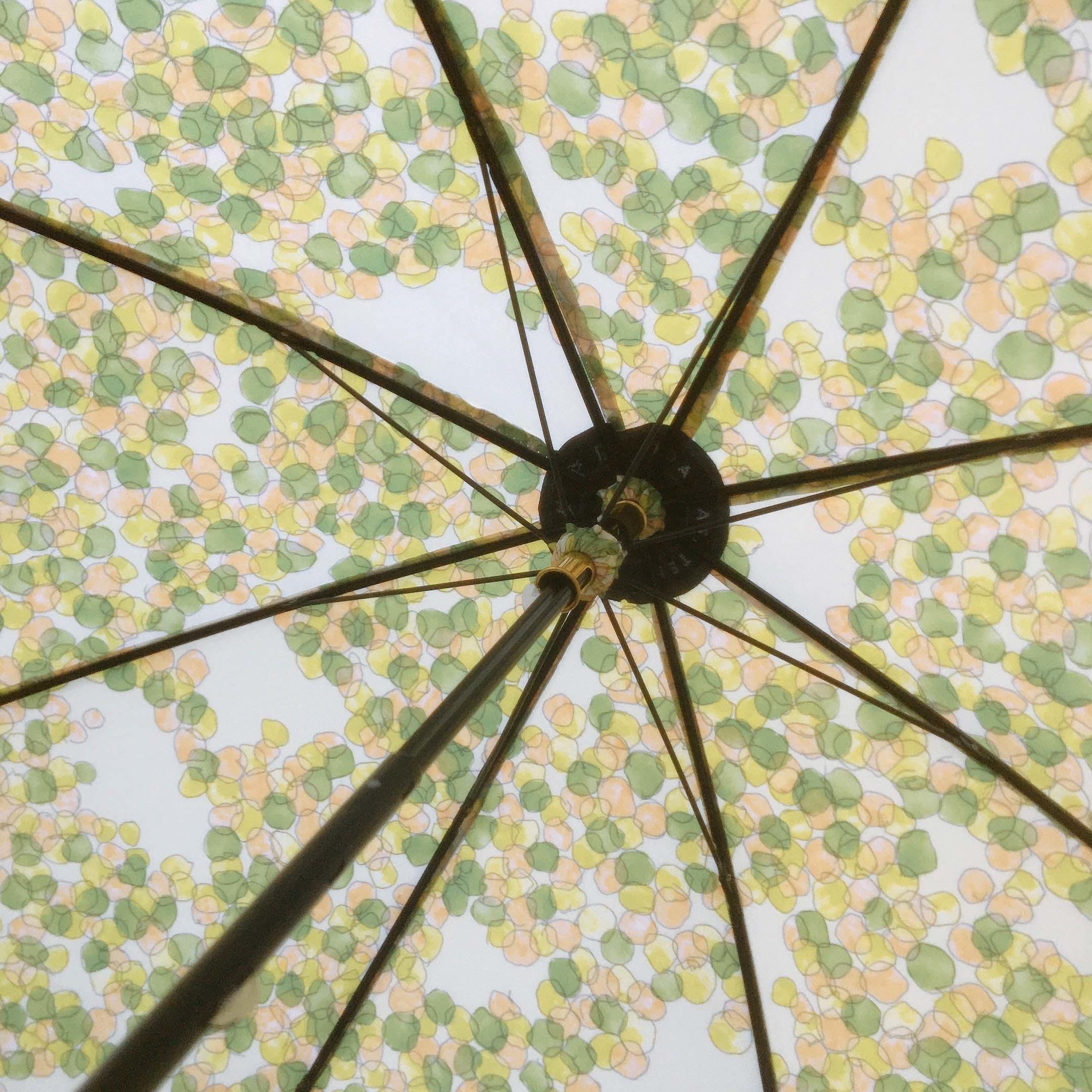 【晴雨兼用】折りたたみ傘　イイダ傘店
